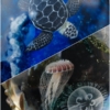 海袋とウミガメ玉…Glass2H