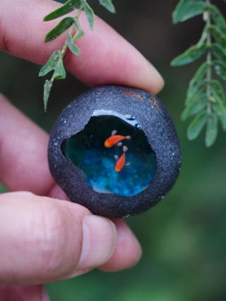 「魚石(sp. G)」2025