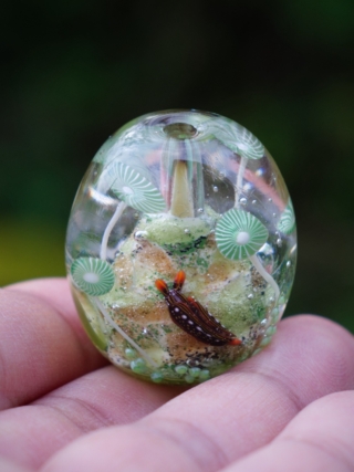 海藻の森＆バイカモの陰で